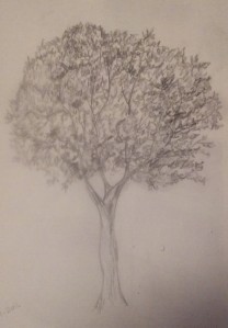 Tree 3 (2)